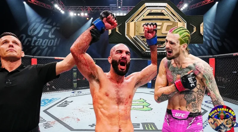 O'Malley Vs Zahabi Fight.